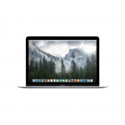 MacBook Retina 2015 Grey 12" Intel® Core™ M 8GB 256GB SSD CONSIGLIATO