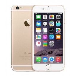 6 16GB GOLD (CONSIGLIATO)