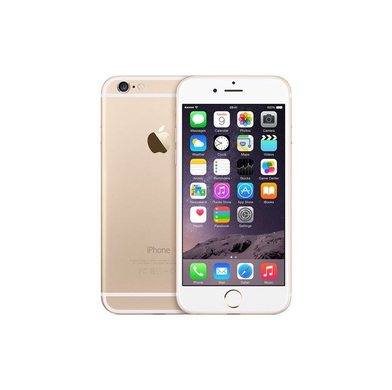 6 16GB GOLD (CONSIGLIATO)