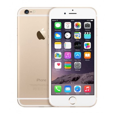 6 16GB GOLD (CONSIGLIATO)