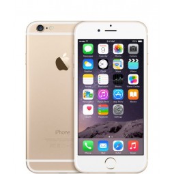 6 128GB GOLD (CONSIGLIATO)