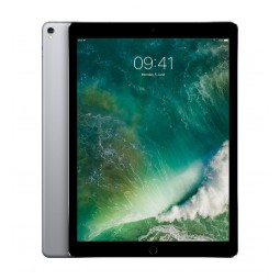 iPad Pro 2nd gen 12.9" 256gb Space Gray WiFi Cellular