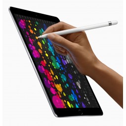 iPad Pro 2nd gen 12.9