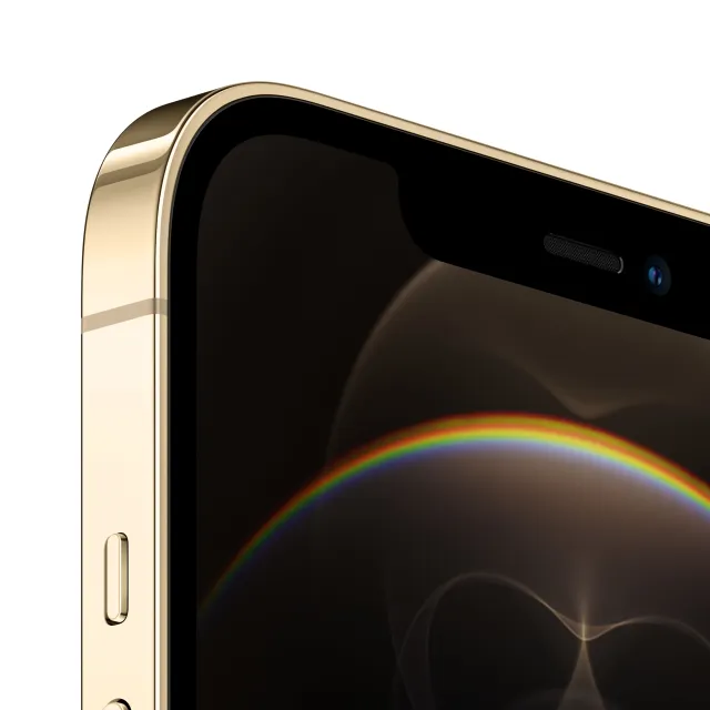 iPhone 12 Pro Max 256Gb Gold