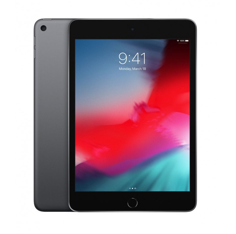 iPad Mini 5 256gb Space Gray WiFi