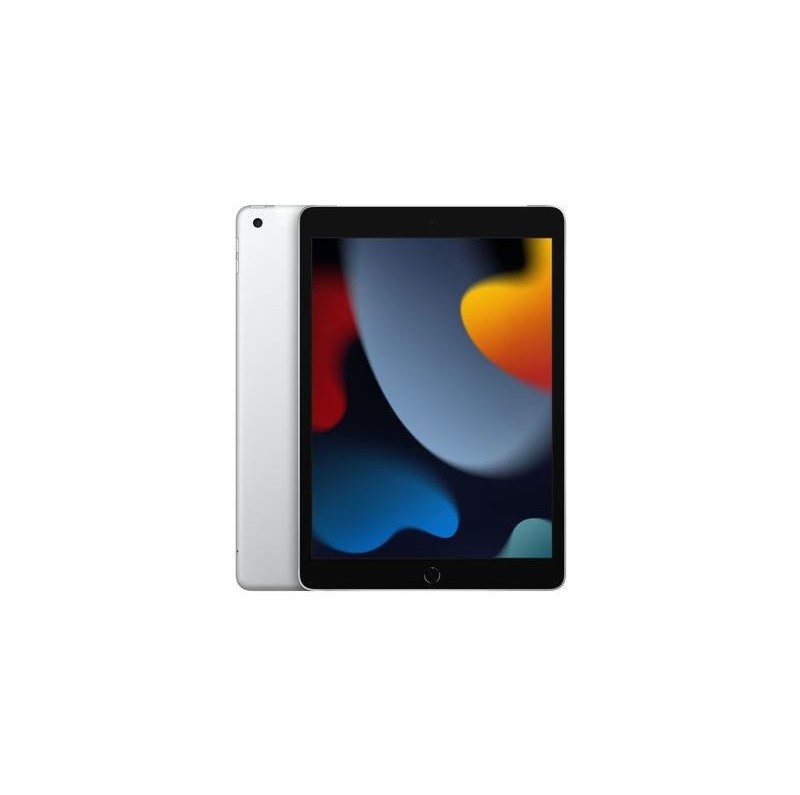 iPad 9th Gen 2021 256gb Argento WiFi Cellular