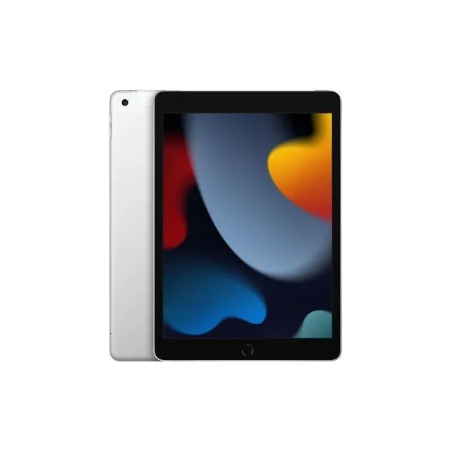 iPad 9th Gen 2021 256gb Argento WiFi