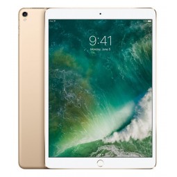 iPad Pro 2nd gen 10.5" 512gb Gold WiFi Cellular