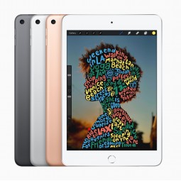 iPad Mini 5 64gb Silver WiFi Cellular